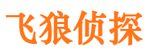 张湾市侦探调查公司